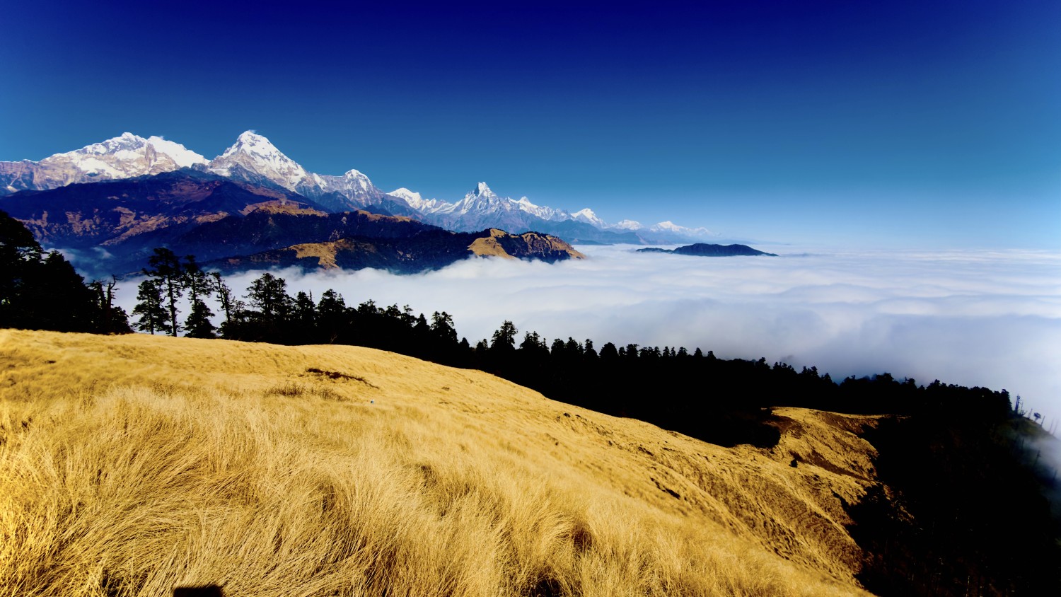Golden Trekking Trail